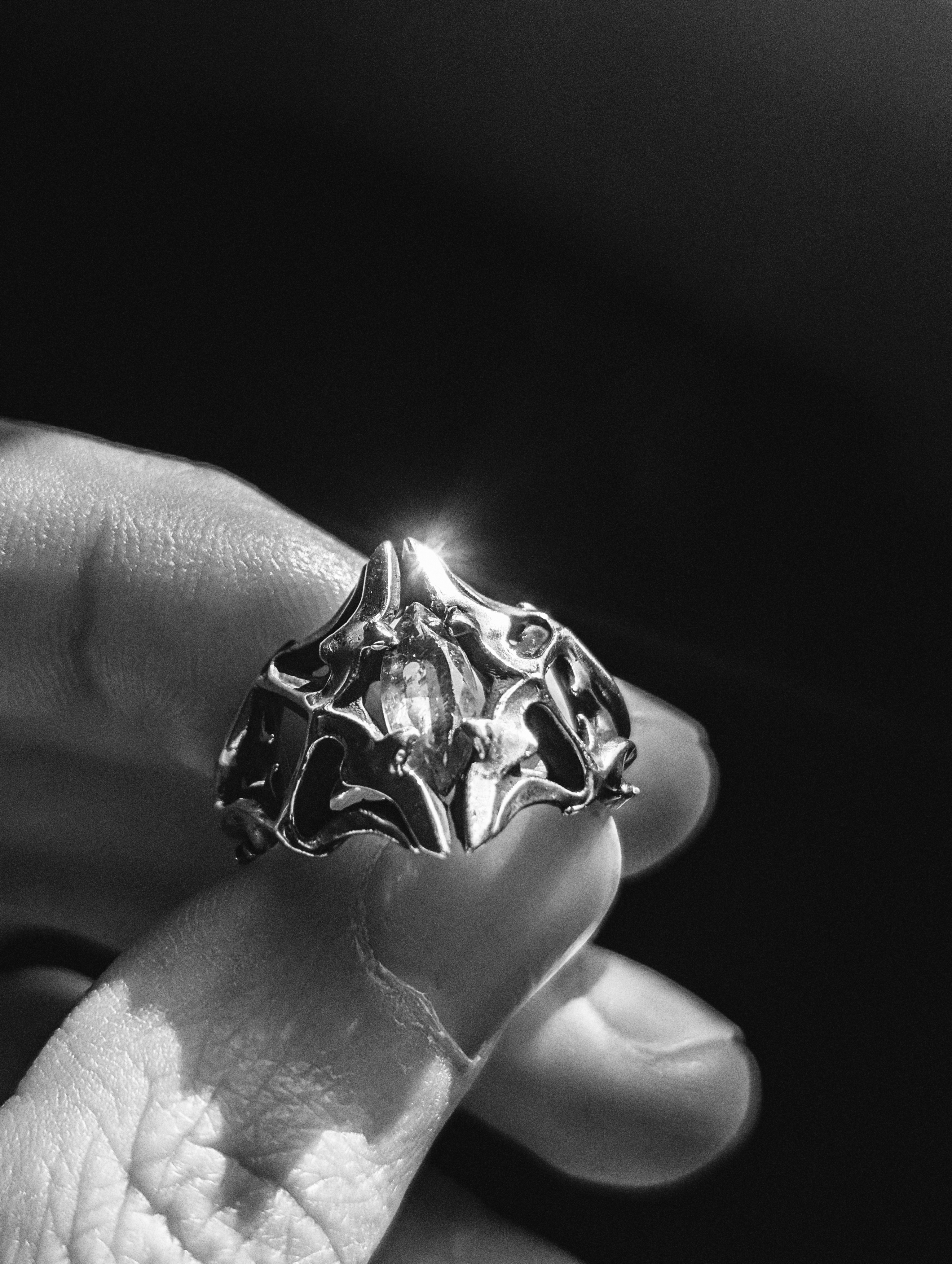 Core collection photo