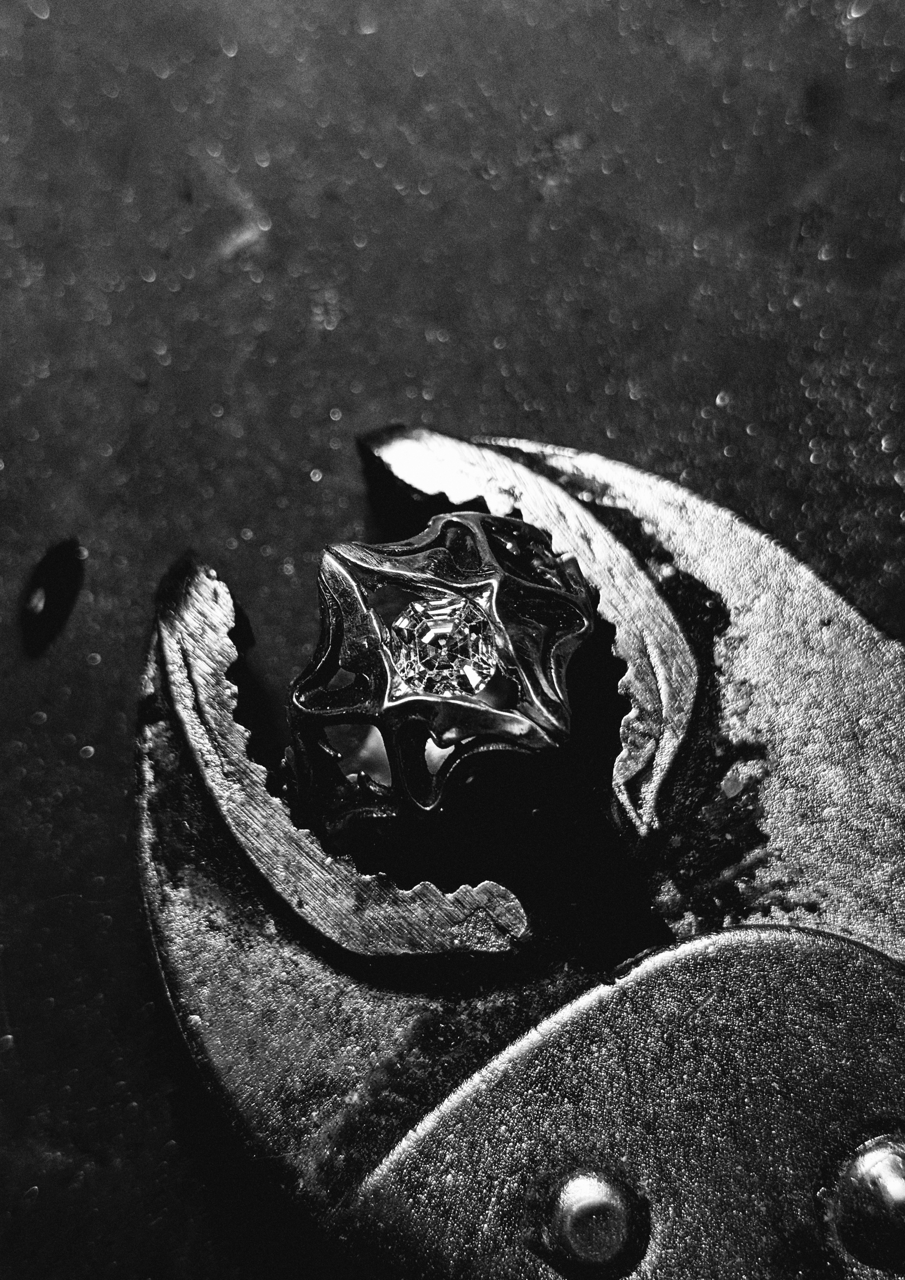 Core collection photo