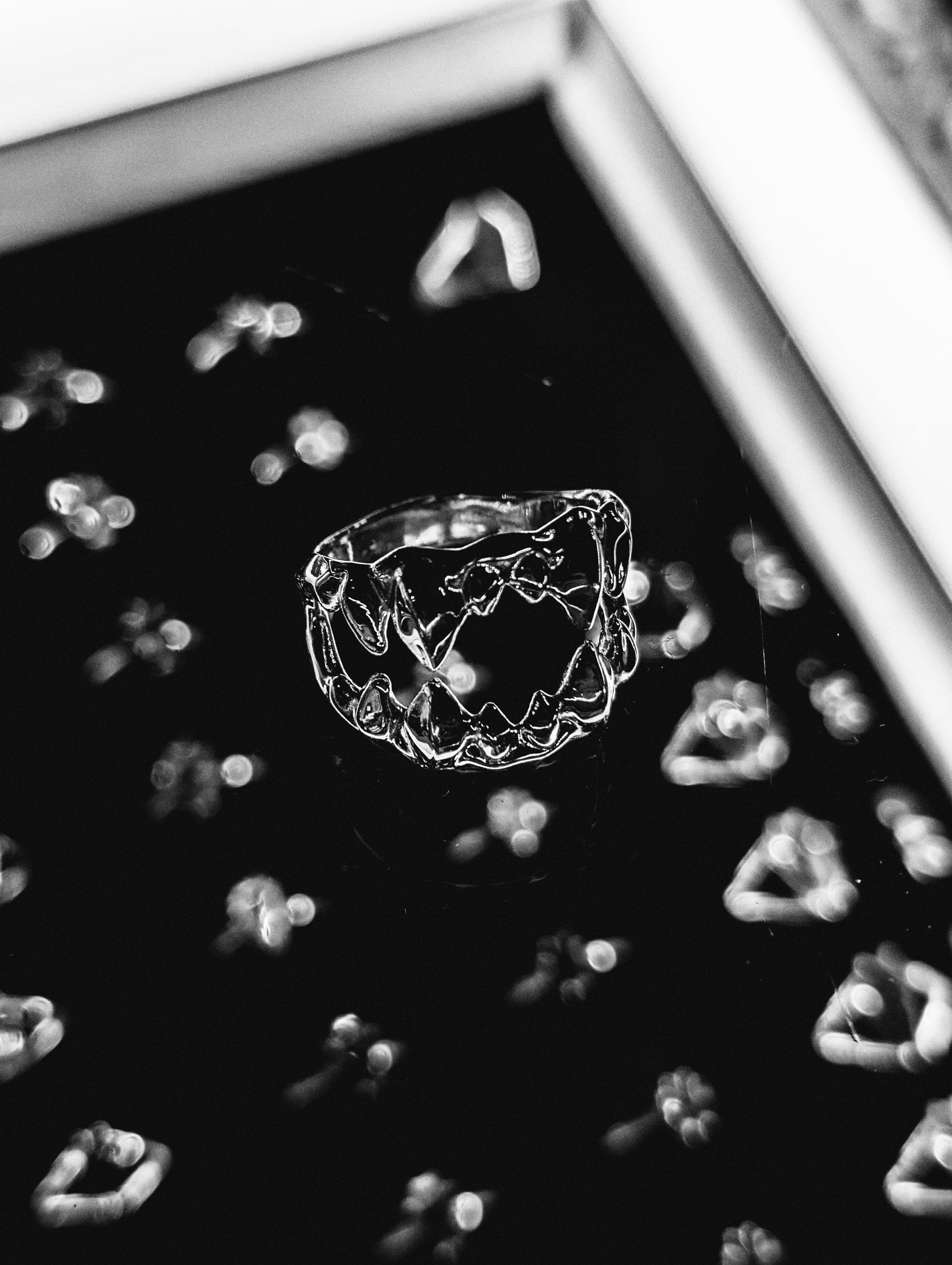 Core collection photo